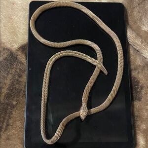 Elegant Gold Snake Necklace